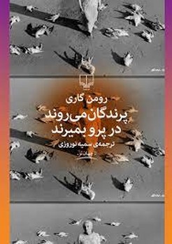 پرندگان می‌روند در پرو بمیرند