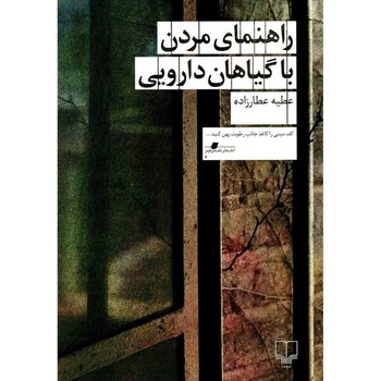 جرم زمانه‌ساز مرکز فرهنگی آبی شیراز 3