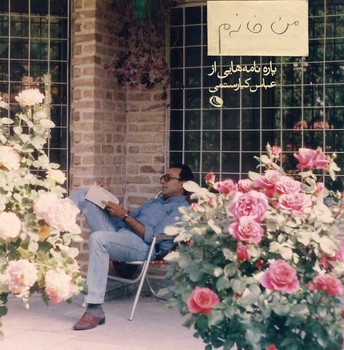 تضادهای درونی مرکز فرهنگی آبی شیراز 4