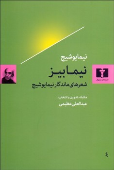 آرزوهای بربادرفته مرکز فرهنگی آبی شیراز 3