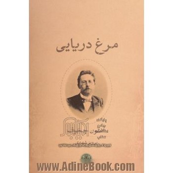 مرغ دریایی مرکز فرهنگی آبی شیراز