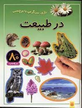 جنگولک بازی های جناب تام 1: جناب تام صاحب خانه و زندگی می شود مرکز فرهنگی آبی شیراز 3