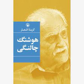 نیلوفری که آزاد رست مرکز فرهنگی آبی شیراز 4