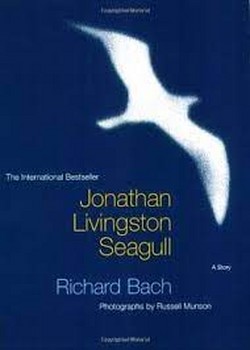 JONATHAN LIVING SEAGULL مرکز فرهنگی آبی شیراز 3