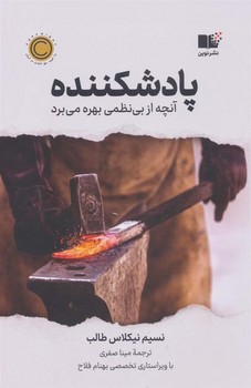 کلنل پسیان مرکز فرهنگی آبی شیراز 4