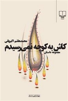 خرسی که چپق می‌کشید مرکز فرهنگی آبی شیراز 3