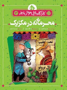 محرمانه در مکزیک 3 مرکز فرهنگی آبی شیراز