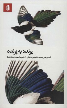 سه رفیق مرکز فرهنگی آبی شیراز 3