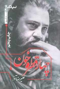 A fraction of the whole مرکز فرهنگی آبی شیراز 3