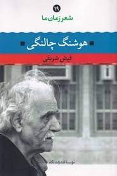 جاذبه و رحمت مرکز فرهنگی آبی شیراز 4