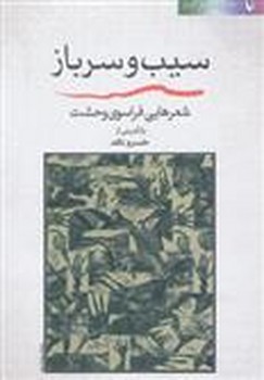 بازگشت کنشگر مرکز فرهنگی آبی شیراز 4