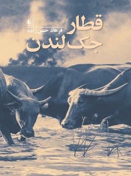 حسنی مرکز فرهنگی آبی شیراز 3