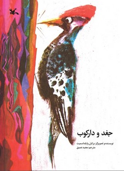 جغد و دارکوب مرکز فرهنگی آبی شیراز 3