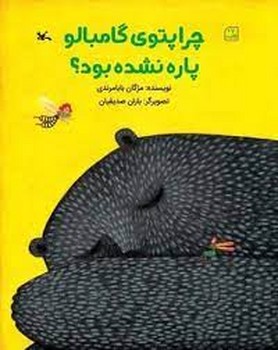 جعبه به دوش مرکز فرهنگی آبی شیراز 3