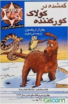 گمشده در کولاک کورکننده مرکز فرهنگی آبی شیراز