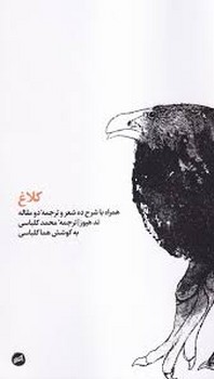 کلاغ مرکز فرهنگی آبی شیراز 3