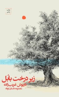 زیر درخت بابل مرکز فرهنگی آبی شیراز 3