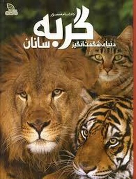 دانشنامه ی دنیای شگفت انگیز  گربه سانان (گالینگور)