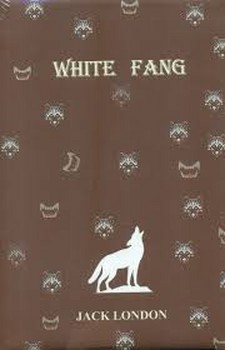 white fang 20 مرکز فرهنگی آبی شیراز 3