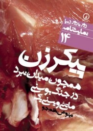 دورتادور دنیا 14: پیکر زن همچون میدان نبرد در جنگ بوسنی مرکز فرهنگی آبی شیراز