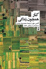 کار همچون زندگی مرکز فرهنگی آبی شیراز