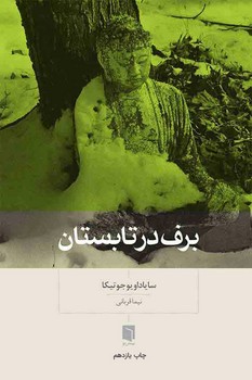 برف در تابستان مرکز فرهنگی آبی شیراز