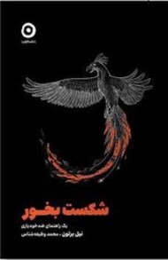 شکست بخور: یک راهنمای ضد خودیاری