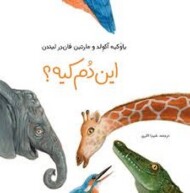 این دم کیه؟ مرکز فرهنگی آبی شیراز