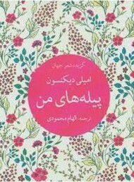 پیله های من مرکز فرهنگی آبی شیراز