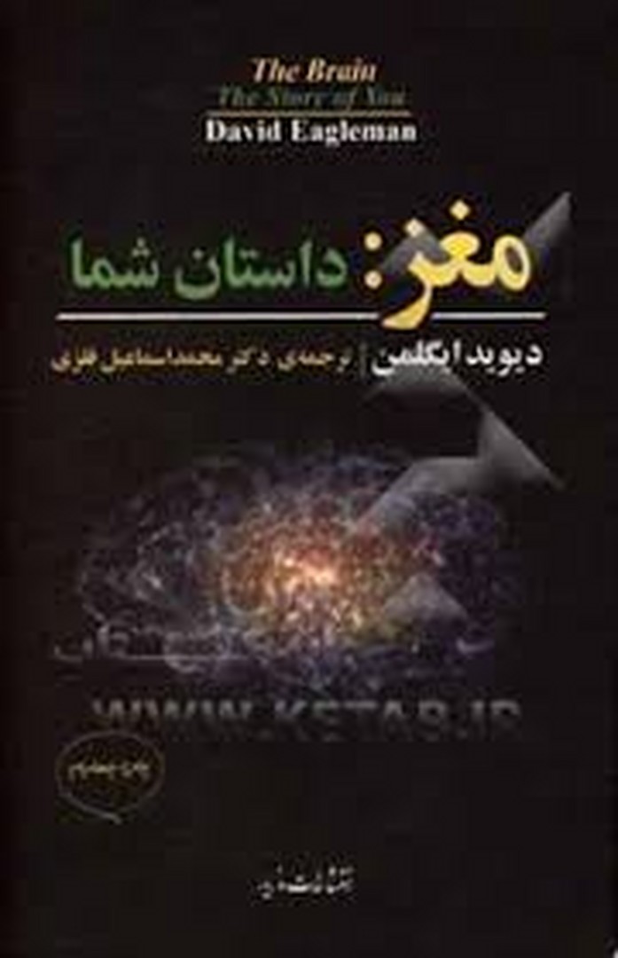 مغز: داستان شما