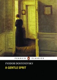 A GENTLE SPRIT/نازنین مرکز فرهنگی آبی شیراز